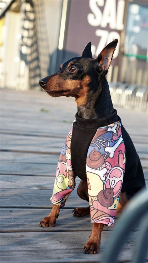 Black dog clothing - EXPAWLORER Dog Hoodie with Pocket, Polar Fleece Dog Sweatshirt Fall Cold Winter Sleeveless Sweater with Hood, Warm Cozy Pet Clothes for Small to Large Dogs Boys and Girls (Black, XL) Options: 5 sizes. 6,216. 100+ bought in past month. $1599 ($15.99/Count) Join Prime to buy this item at $13.59.